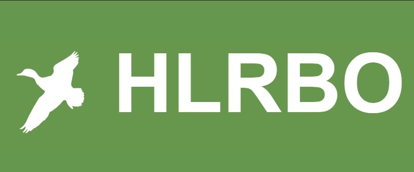 logotype-4